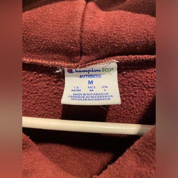 MIT Champion Burgundy Hoodie - Picture 3 of 4